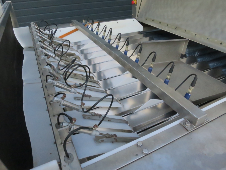 5080 Newtec Celox optisk sorterare till potatis