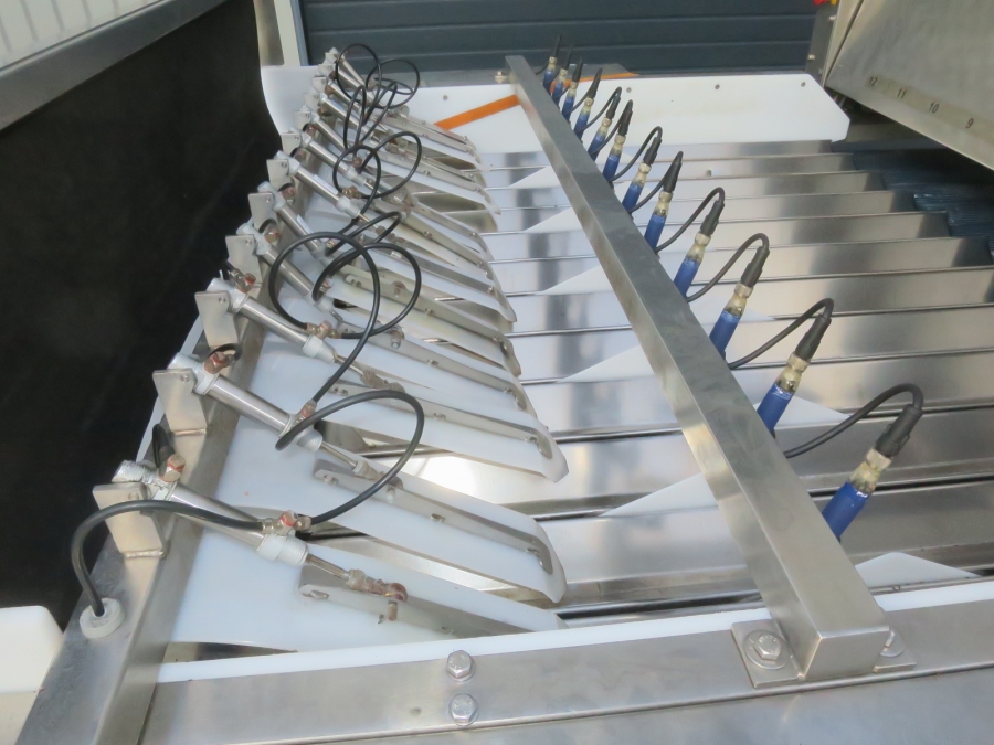 5080 Newtec Celox optisk sorterare till potatis