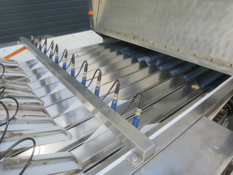 5080 Newtec Celox optisk sorterare till potatis