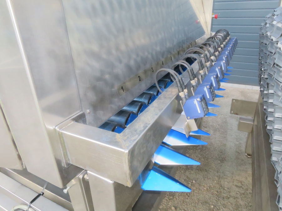 5080 Newtec Celox optisk sorterare till potatis