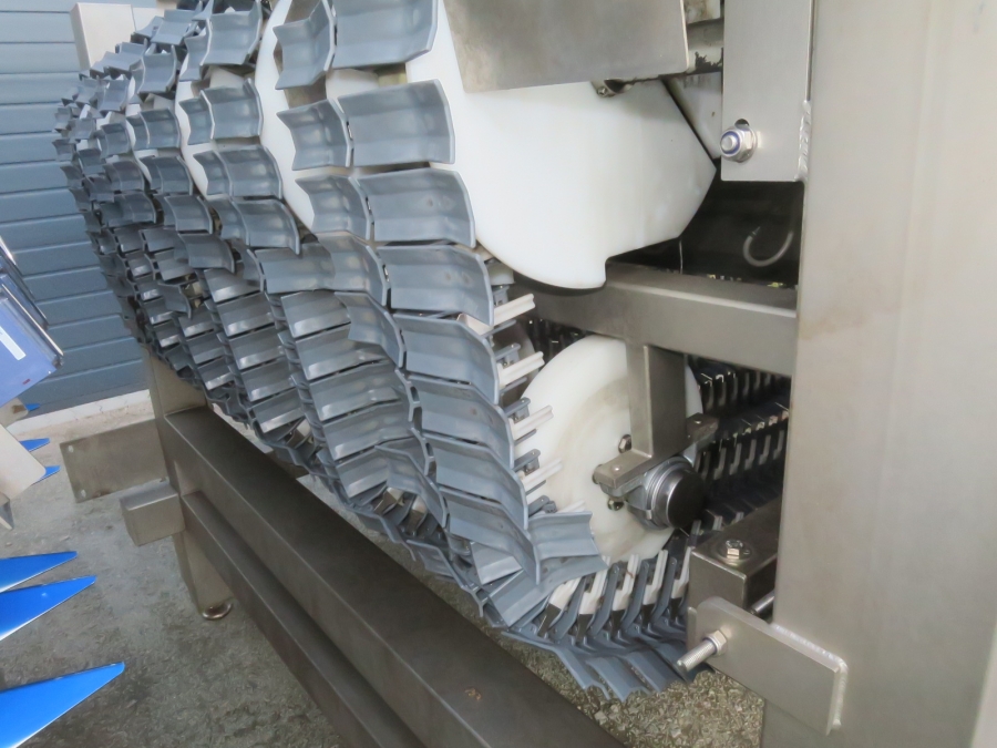 5080 Newtec Celox optisk sorterare till potatis