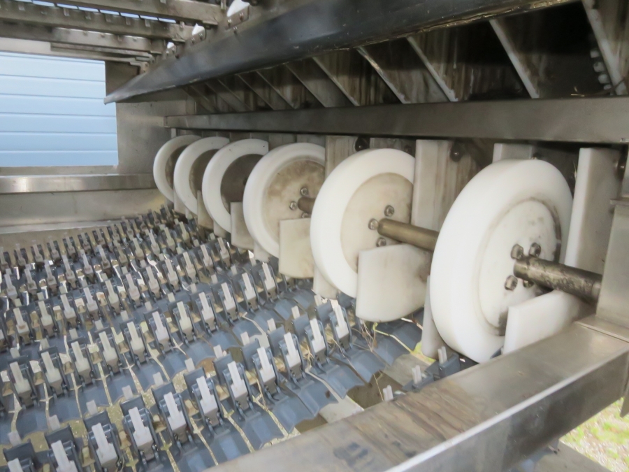 5080 Newtec Celox optisk sorterare till potatis