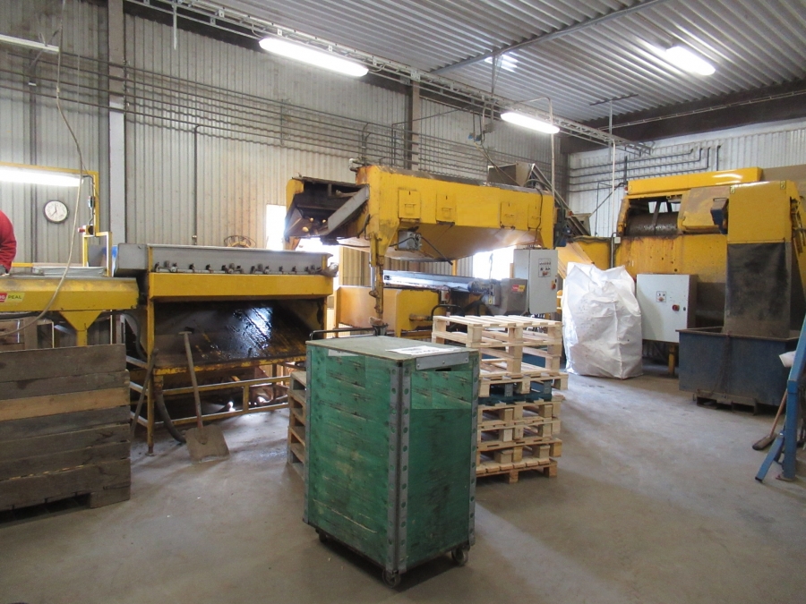 5129 Tong Kartoffelwaschanlage mit Polierer