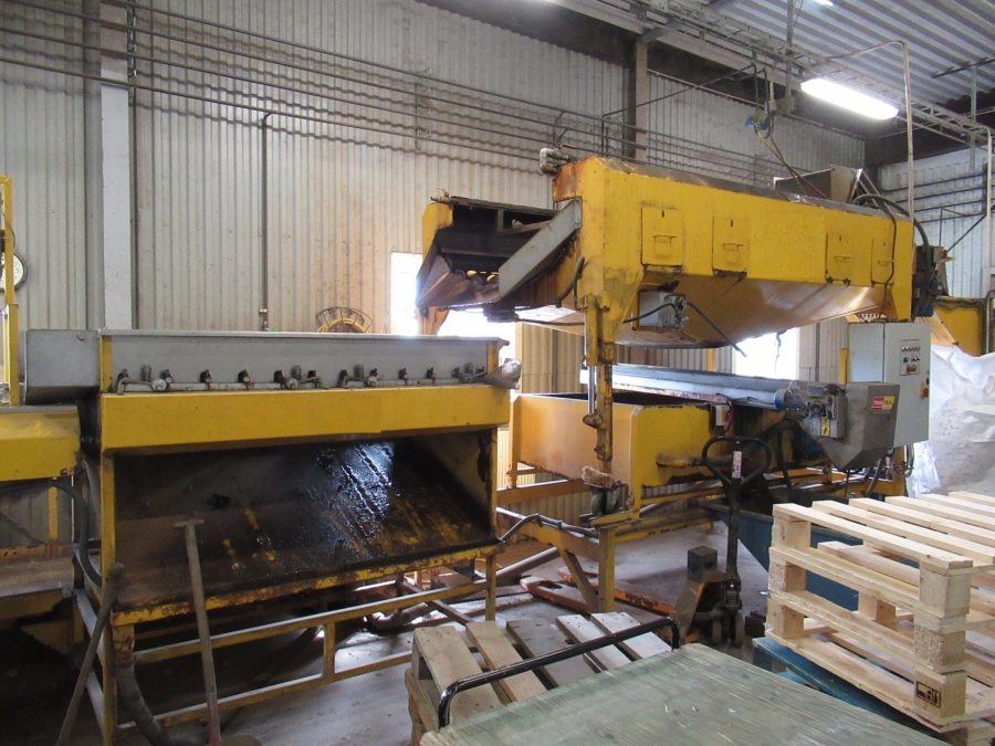 5129 Tong Kartoffelwaschanlage mit Polierer