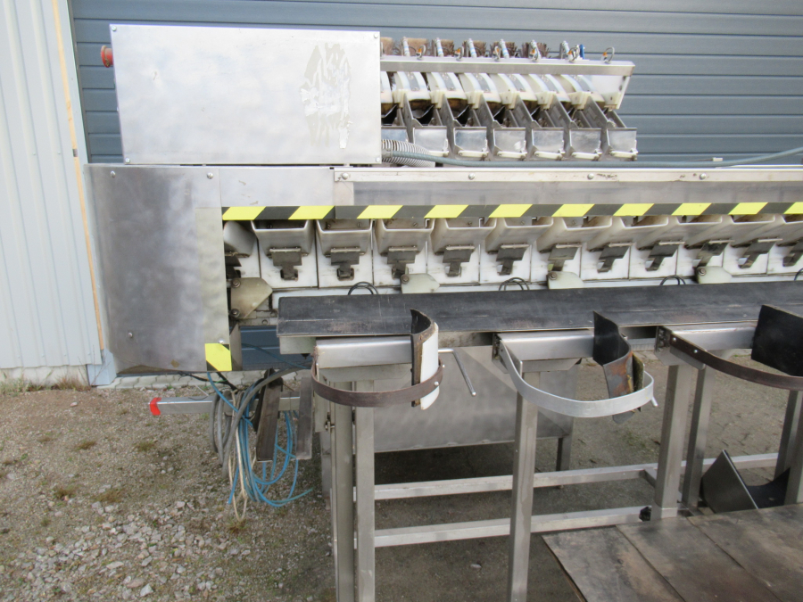 5289 Newtec bagger and weigher for BAKED POTATOES