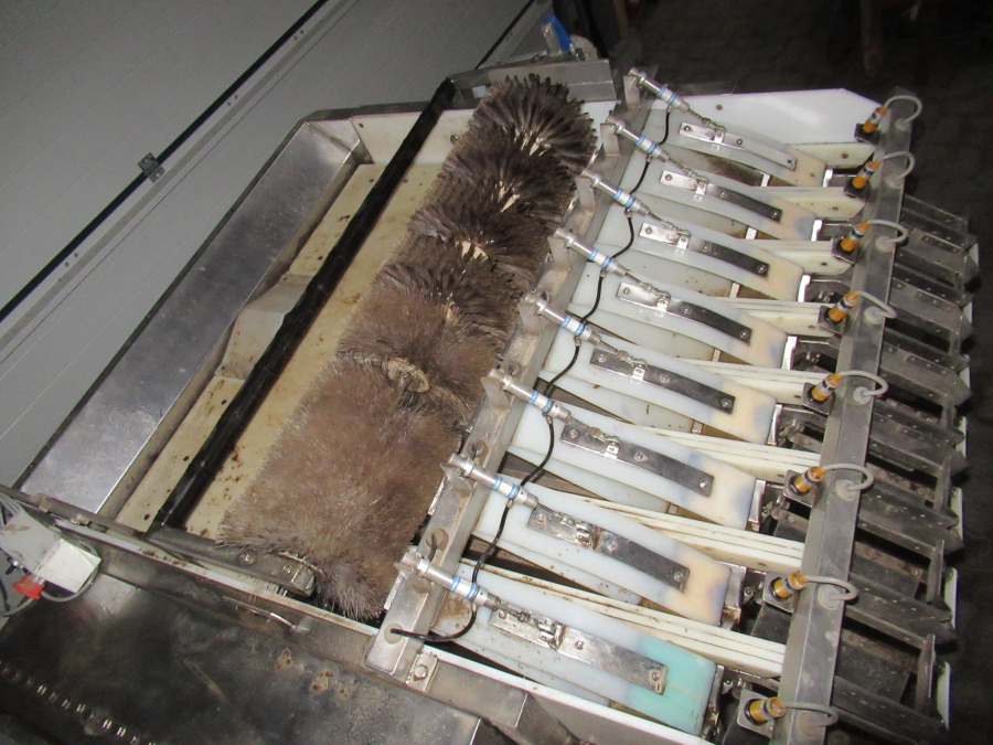 5289 Newtec bagger and weigher for BAKED POTATOES