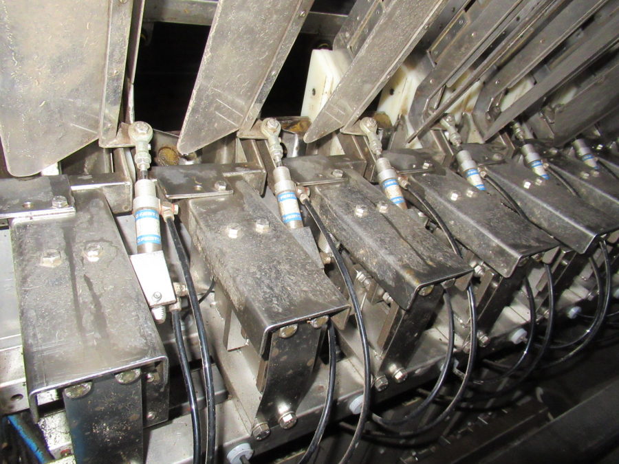 5289 Newtec bagger and weigher for BAKED POTATOES