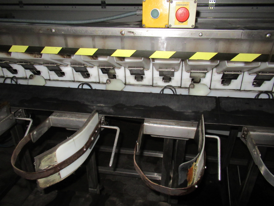 5289 Newtec bagger and weigher for BAKED POTATOES
