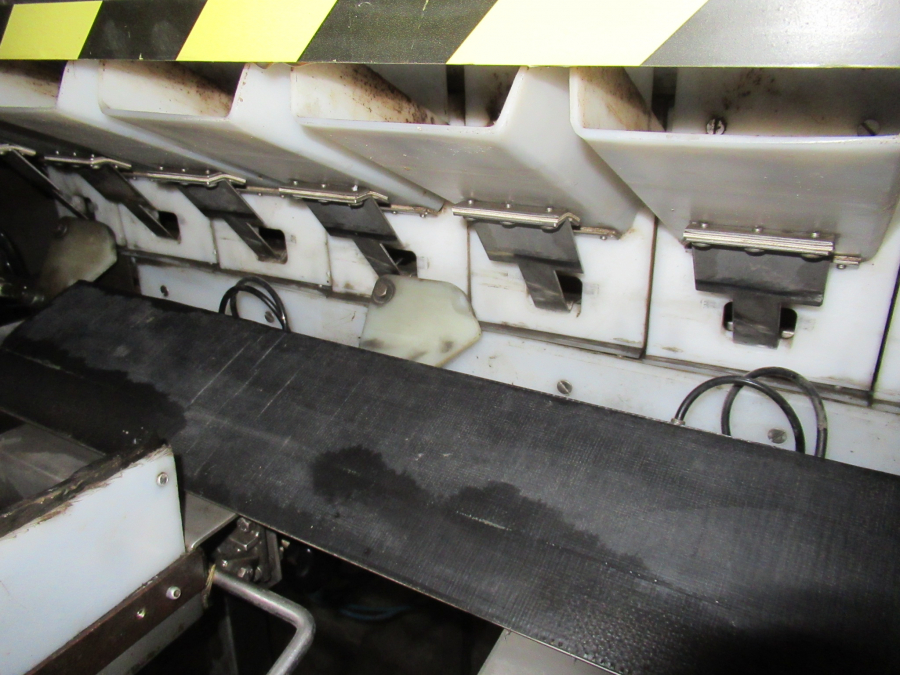 5289 Newtec bagger and weigher for BAKED POTATOES