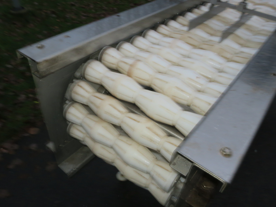 5293 Limas kvarteringsmaskin för potatis