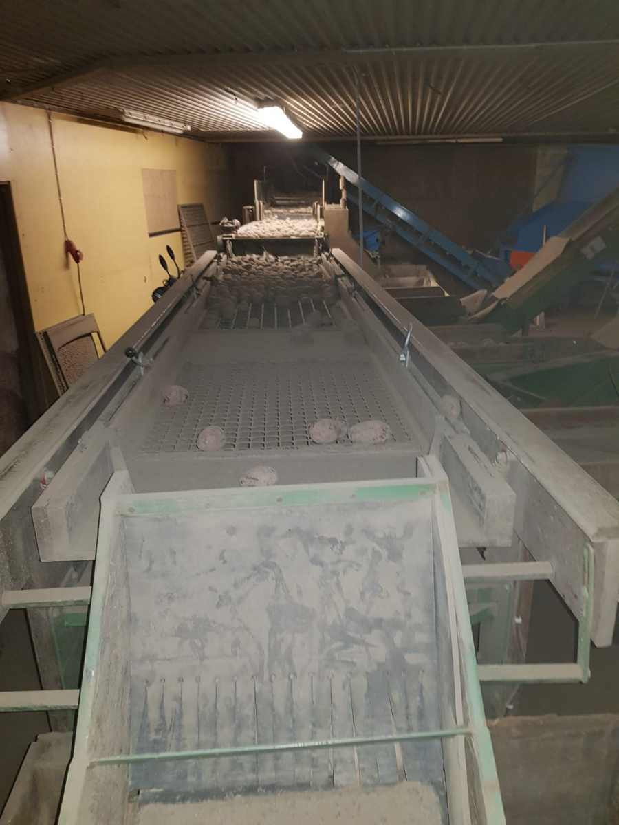 5411 Schouten potatissorterare komplett linje
