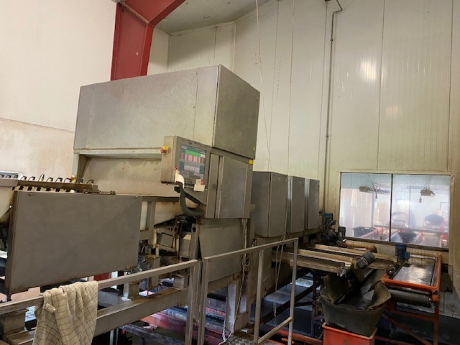 5443 Newtec Celox for carrots