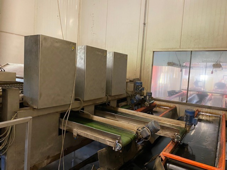5443 Newtec Celox for carrots