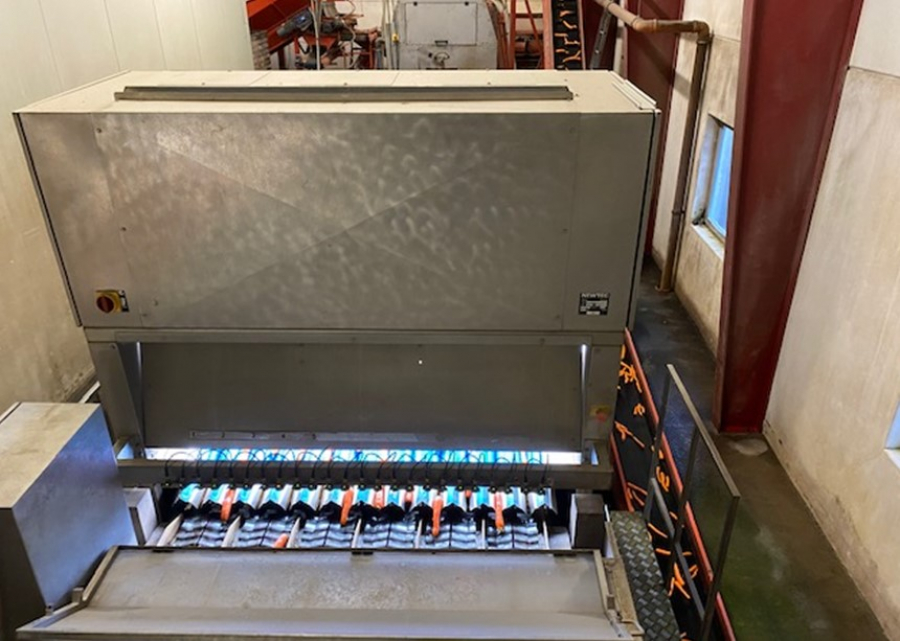 5443 Newtec Celox for carrots