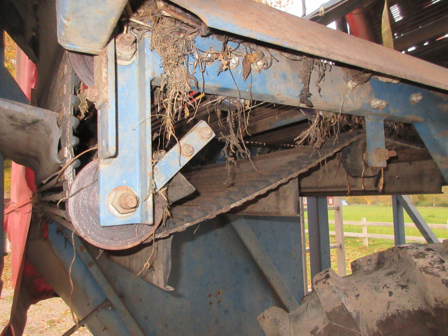 5499 Asa-Lift T-100 DF carrot harvester with elevator