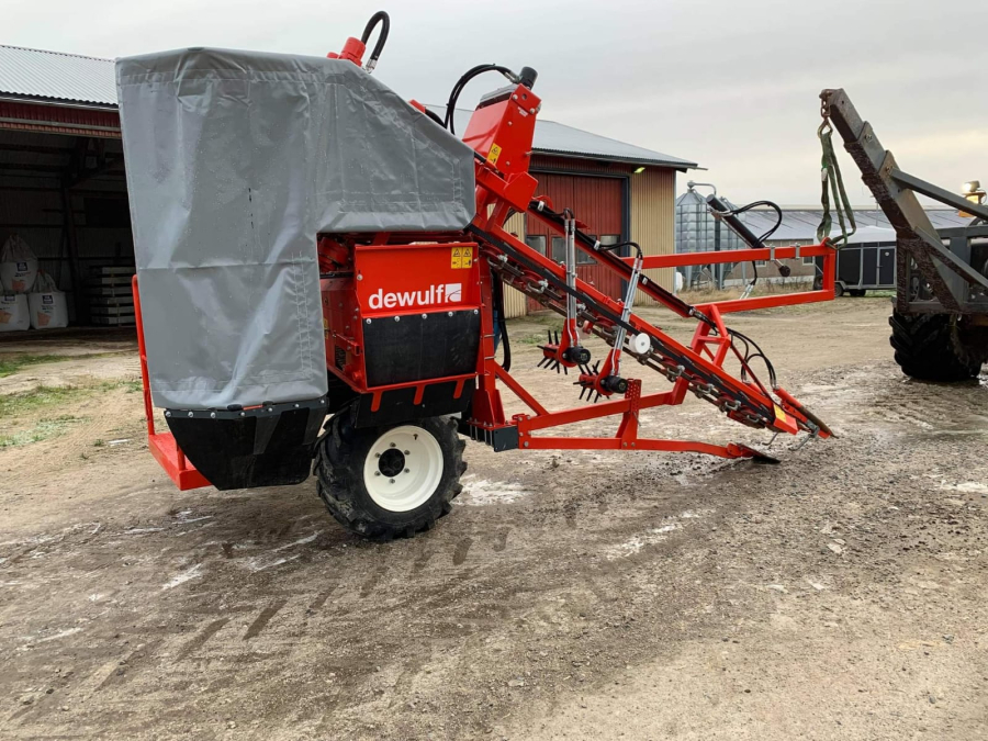 5555 Dewulf P3K carrot harvester with elevator