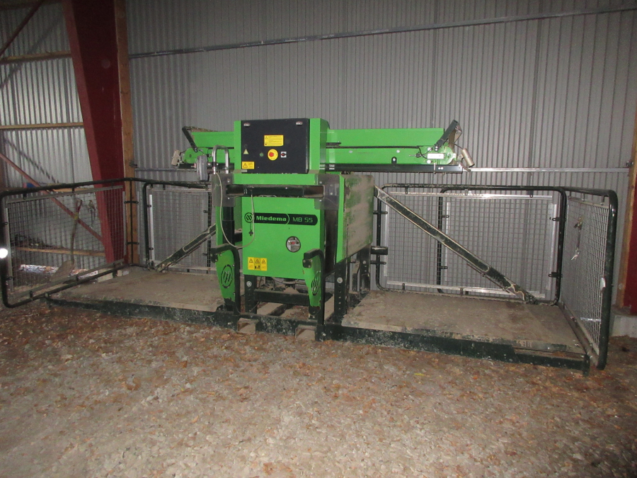5609 Miedema MB55 box filler with feeding elevator