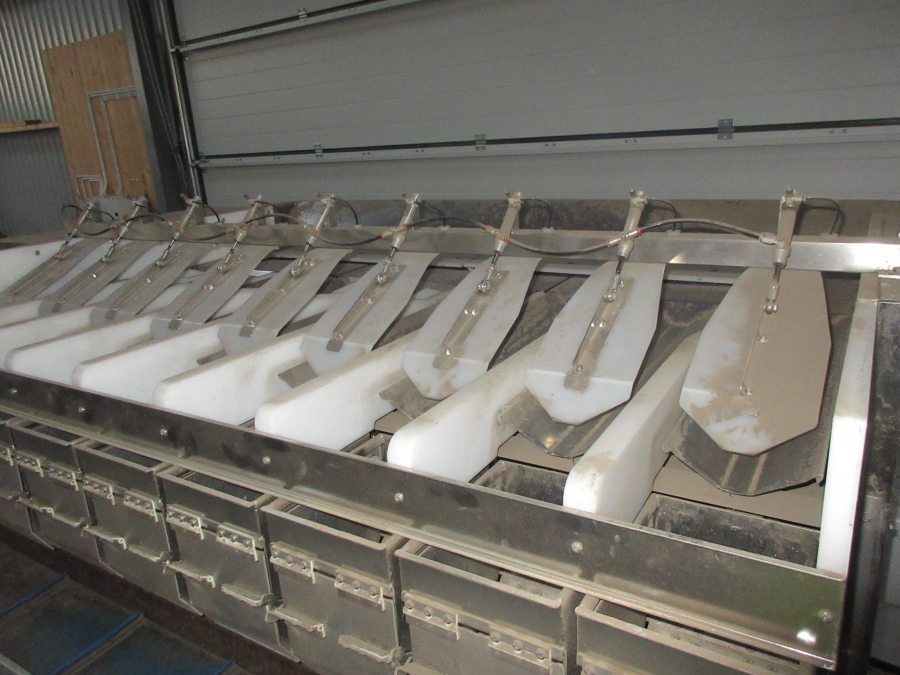 5655 Newtec 2009XB weigher for carrots and potato