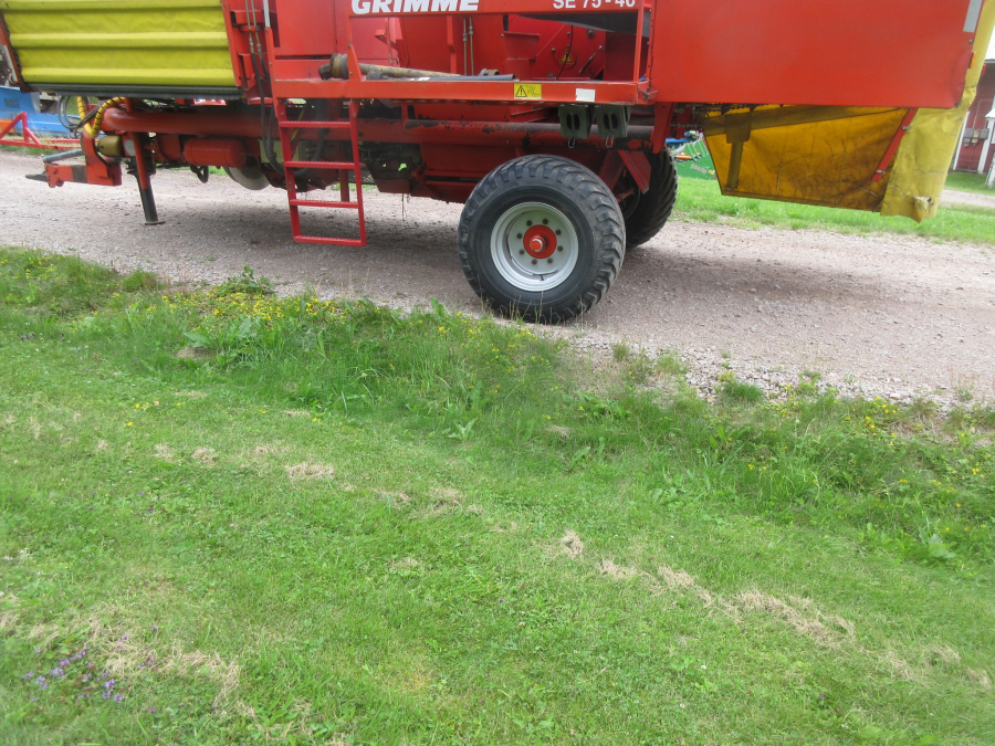5998 Grimme SE75-40 Kartoffelroder