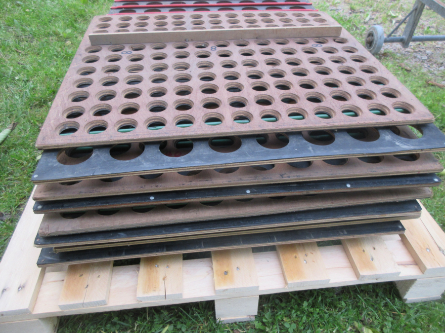6000 Compas onion sorter 5 sizes