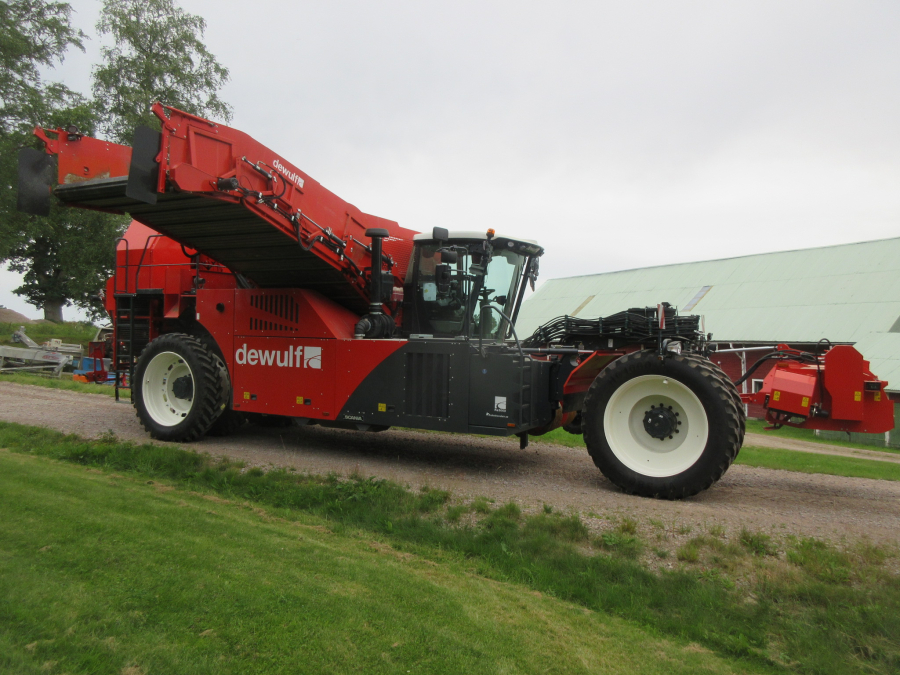 6036 Dewulf RA3060 potato harvester DEMO selfpropelled 