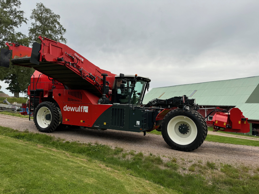 6036 Dewulf RA3060 potato harvester DEMO selfpropelled 