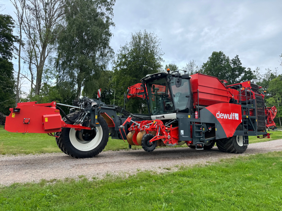 6036 Dewulf RA3060 potato harvester DEMO selfpropelled 