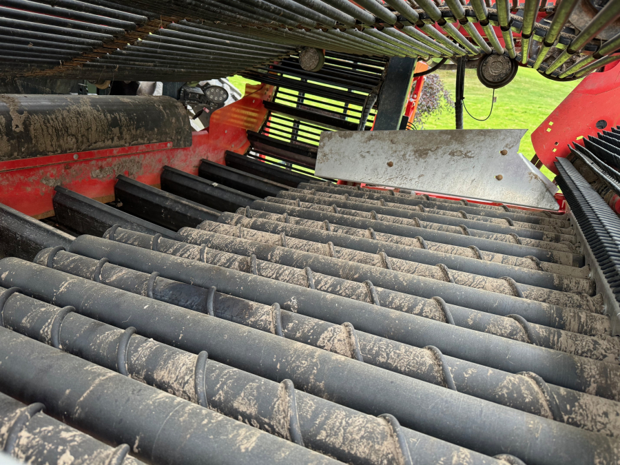 6036 Dewulf RA3060 potato harvester DEMO selfpropelled 