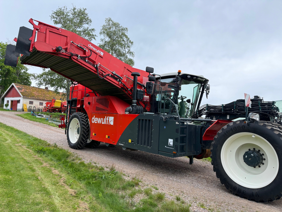 6036 Dewulf RA3060 potato harvester DEMO selfpropelled 