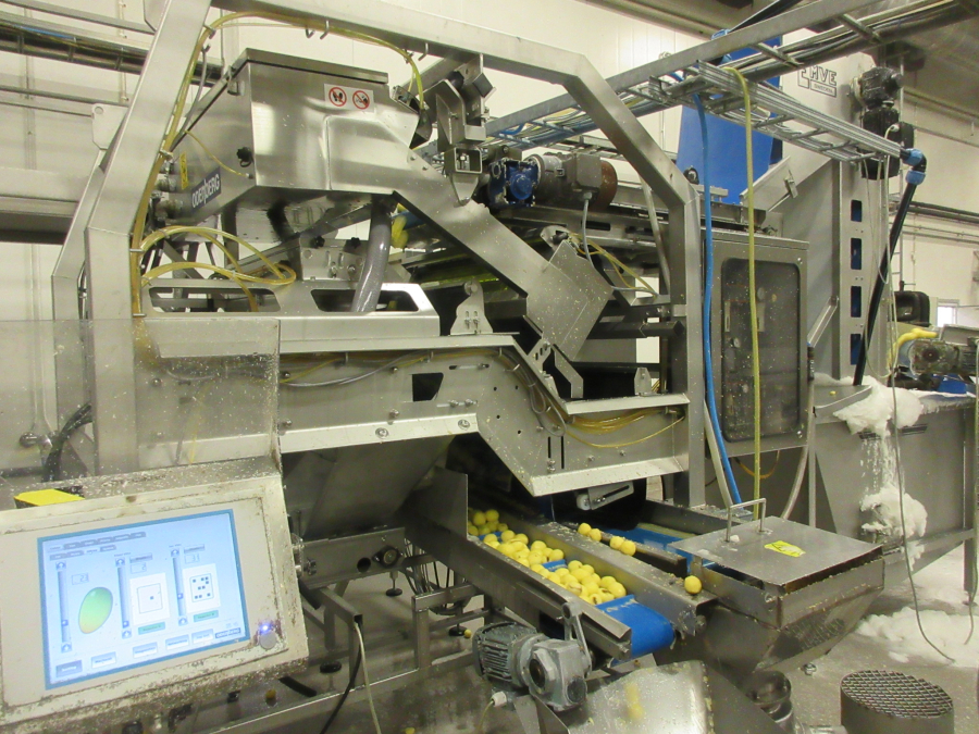 6147 Odenberg optisk sortare till skalad potatis mm
