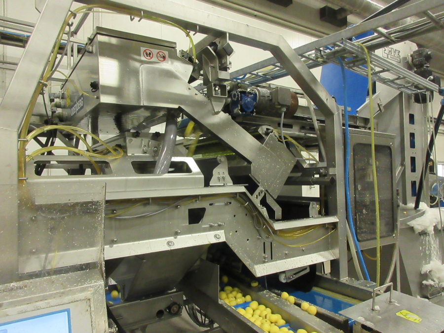 6147 Odenberg optisk sortare till skalad potatis mm