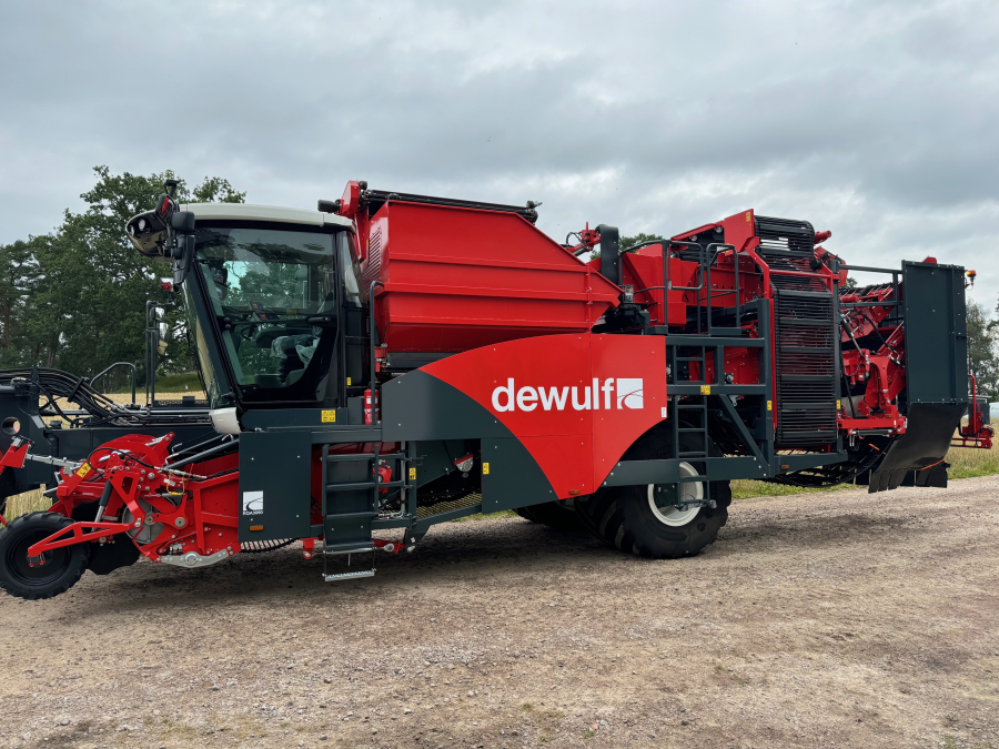 6161 Dewulf RQA3060 potato harvester