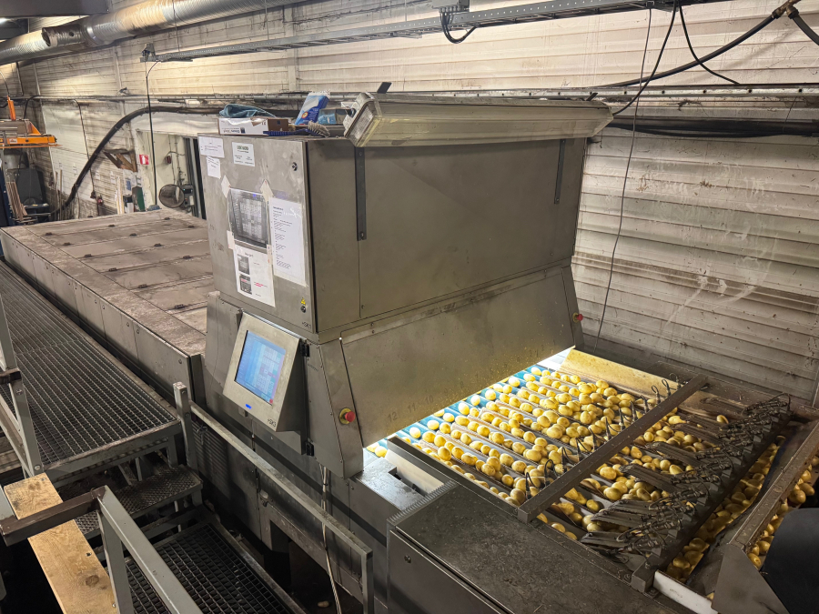 6187 Newtec Celox optisk sorterare för potatis