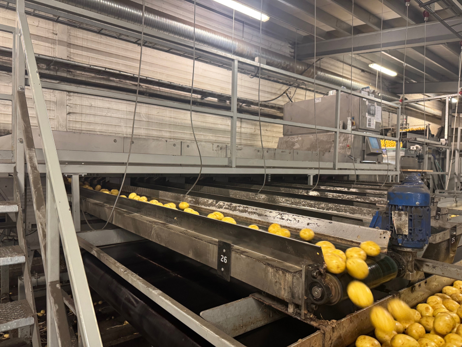 6187 Newtec Celox optisk sorterare för potatis
