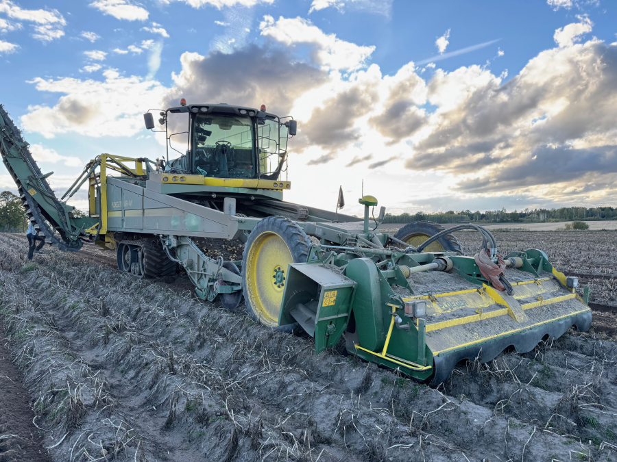 6202 Ploeger potato harvester 4 row with elevator
