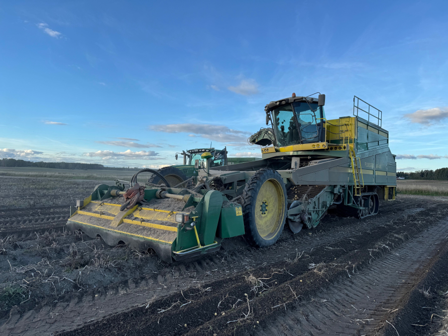 6202 Ploeger potato harvester 4 row with elevator