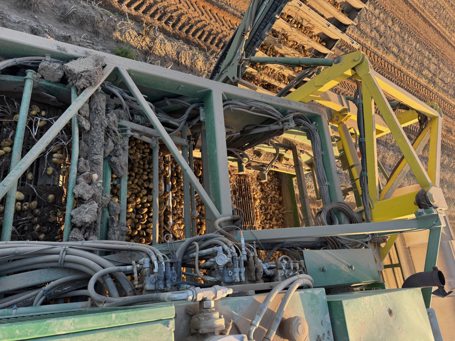 6202 Ploeger potato harvester 4 row with elevator
