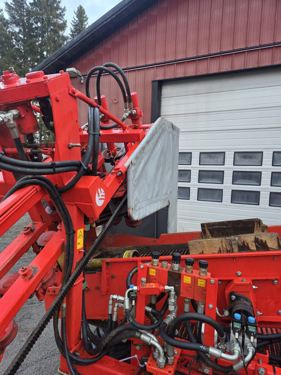 6247 Dewulf P3CC carrot harvester
