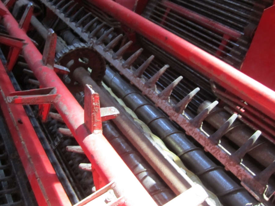 3614 Grimme Maxtron 620 Rübenroder 6 Reihe
