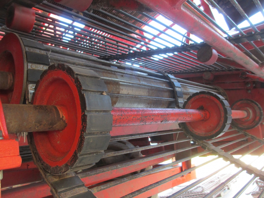3636 Dewulf RDT superia 2 rad potatisupptagare med tank