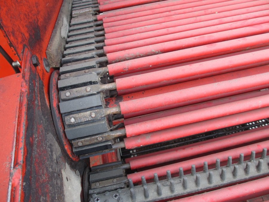 3636 Dewulf RDT superia 2 rad potatisupptagare med tank