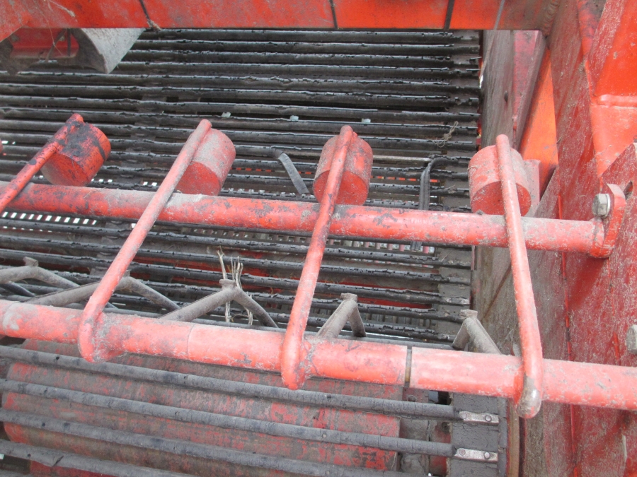 3636 Dewulf RDT superia 2 rad potatisupptagare med tank