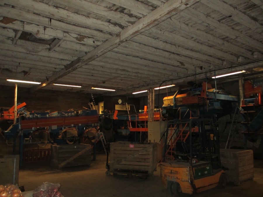 3659 EMVE potato grading line 