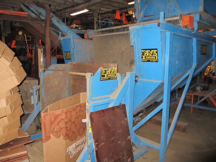 3659 EMVE potato grading line 