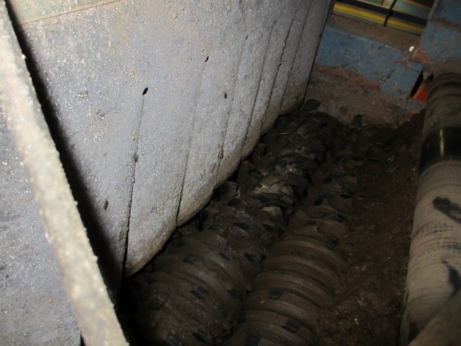 3659 EMVE potato grading line 