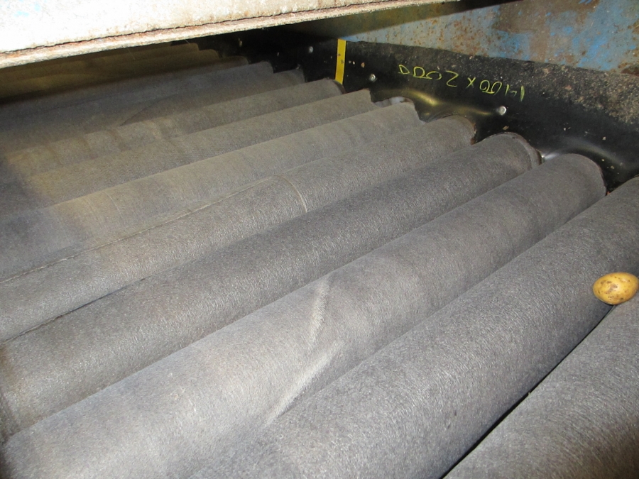 3659 EMVE potato grading line 