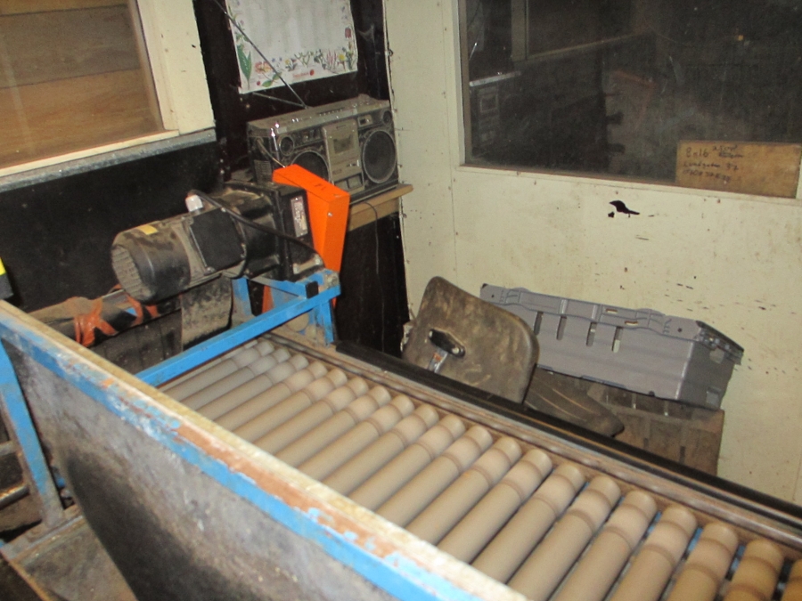 3659 EMVE potato grading line 
