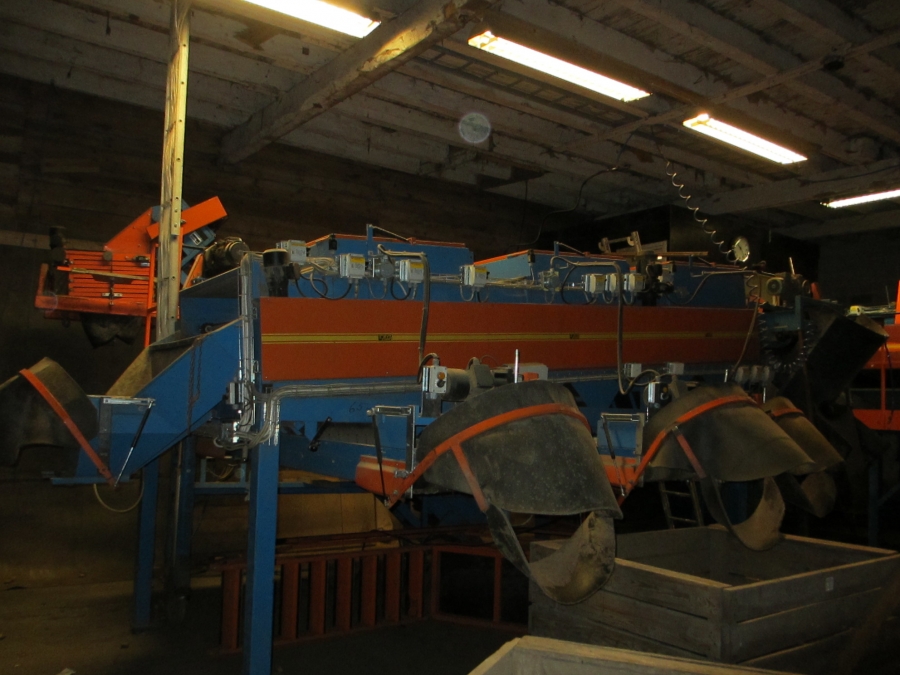 3659 EMVE potato grading line 