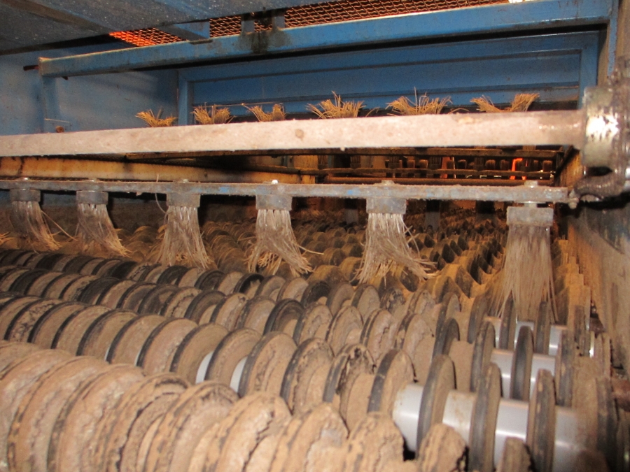 3659 EMVE potato grading line 