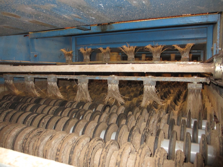 3659 EMVE potato grading line 